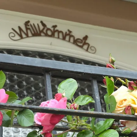 Guest house Gaestehaus Hermine Oberkirch (Baden)